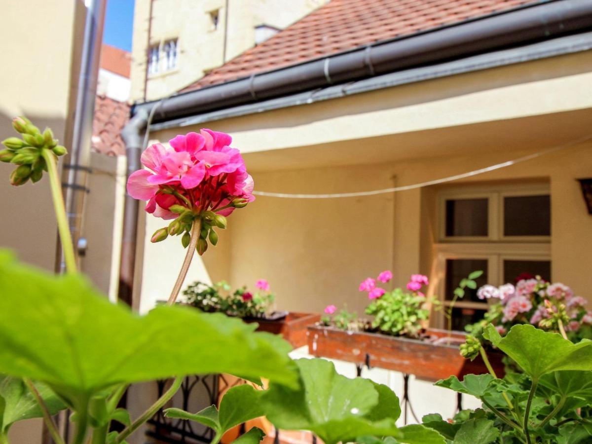 Apartment Nerudova By Interhome ปราก ภายนอก รูปภาพ
